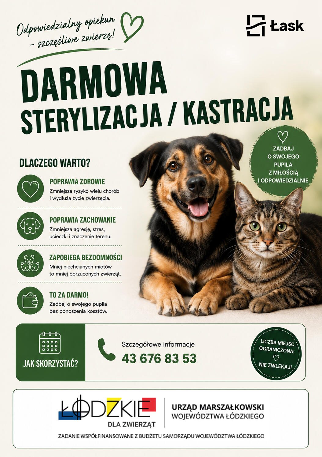 Bezpłatna sterylizacja i kastracja psów i kotów w gminie Łask